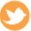 TWITTER TWITTER